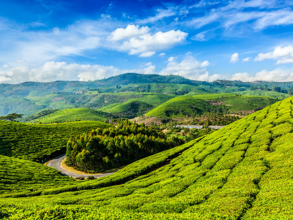 western ghats